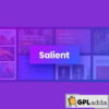 Salient - Responsive Multi-Purpose Wordpress Theme