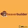 BEAVER THEMER WordPress Plugin Addon