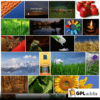 Justified Image Grid - Premium WordPress Gallery