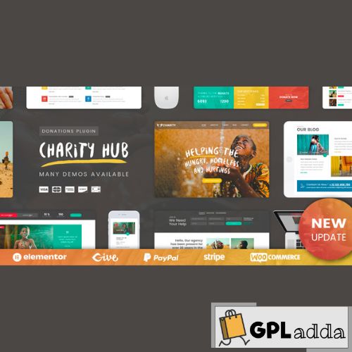 Charity Foundation - Charity Hub WP Theme