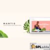 mantis minimal modern woocommerce themes