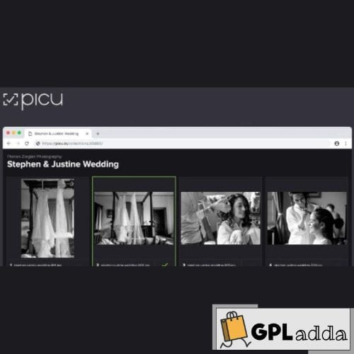 Picu Pro – Online Photo Proofing with WordPress