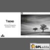 Trend – Photography WordPress Theme