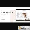 Trendion – Lifestyle Blog and Magazine Theme