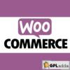 Conditional Payment Methods For WooCommerce