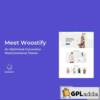 Woostify Pro - WordPress Plugin