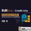 B2BKing Company Credit – WooCommerce Line of Credit System (Add-on)