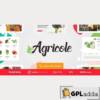 Agricole - WordPress Theme