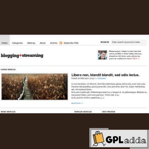 WooThemes Blogging Stream Premium Theme