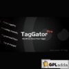 TagGator Pro - WordPress Auto Tagging Plugin