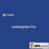 AudioIgniter