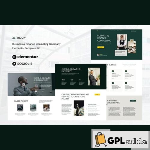 Bizzy - Business & Finance Consulting Company Elementor Template Kit