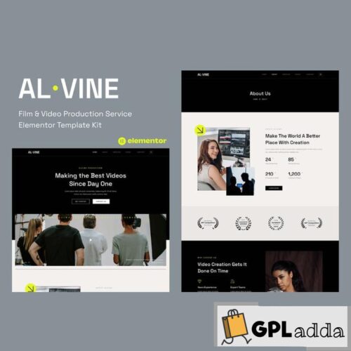 Alvine - Film & Video Production Service Elementor Template Kit
