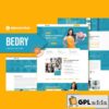 bedry laundry services elementor pro template kit