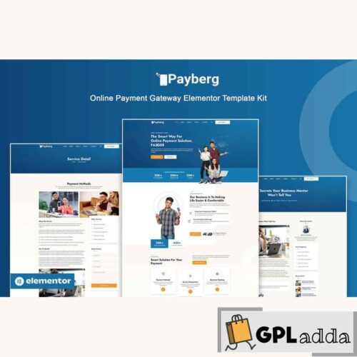 Payberg - Online Payment Gateway Elementor Pro Template Kit