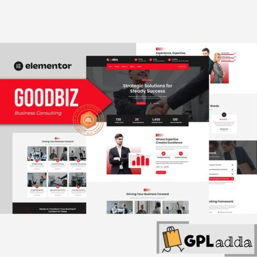 Goodbiz - Business Consulting Elementor Template Kit