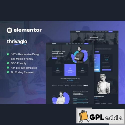 Thrivaglo - Business Coach Elementor Template Kit