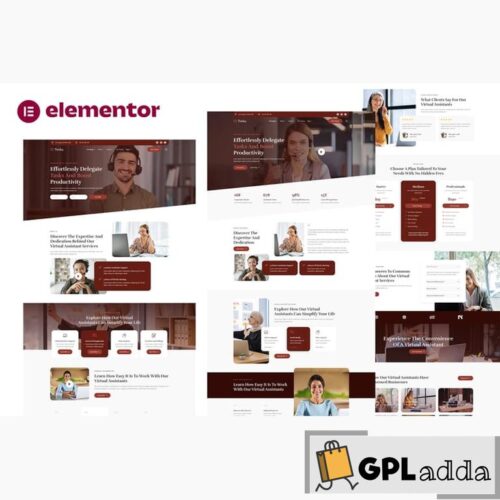 Timku - Virtual Assistant Business Elementor Template Kit