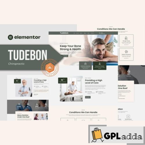 Tudebon - Chiropractic & Physiotherapy Elementor Template Kit