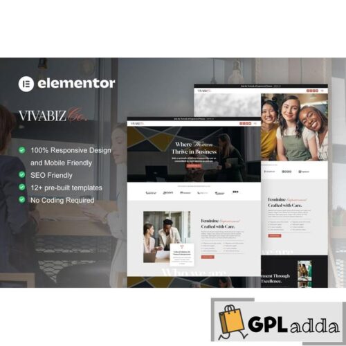 Vivabiz - Feminine Business Coaching Elementor Template Kit