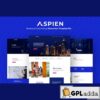 aspien business connecting elementor template kit
