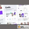 exela social media marketing agency elementor template kit
