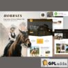 horrses equestrian horse riding club elementor template kit