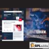 liham welding services elementor template kit