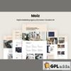 moiz digital marketing agency elementor template kit