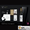 villenoir wine template kit