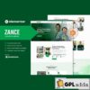 zance insurance agency elementor template kit